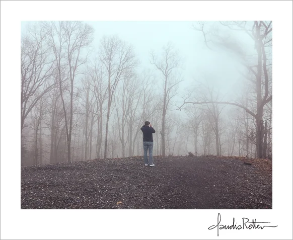Fairview Forest fog