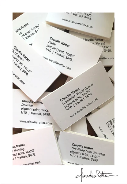Wall labels for Velvet Winter