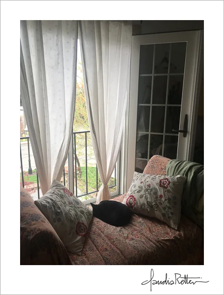French doors and black cat