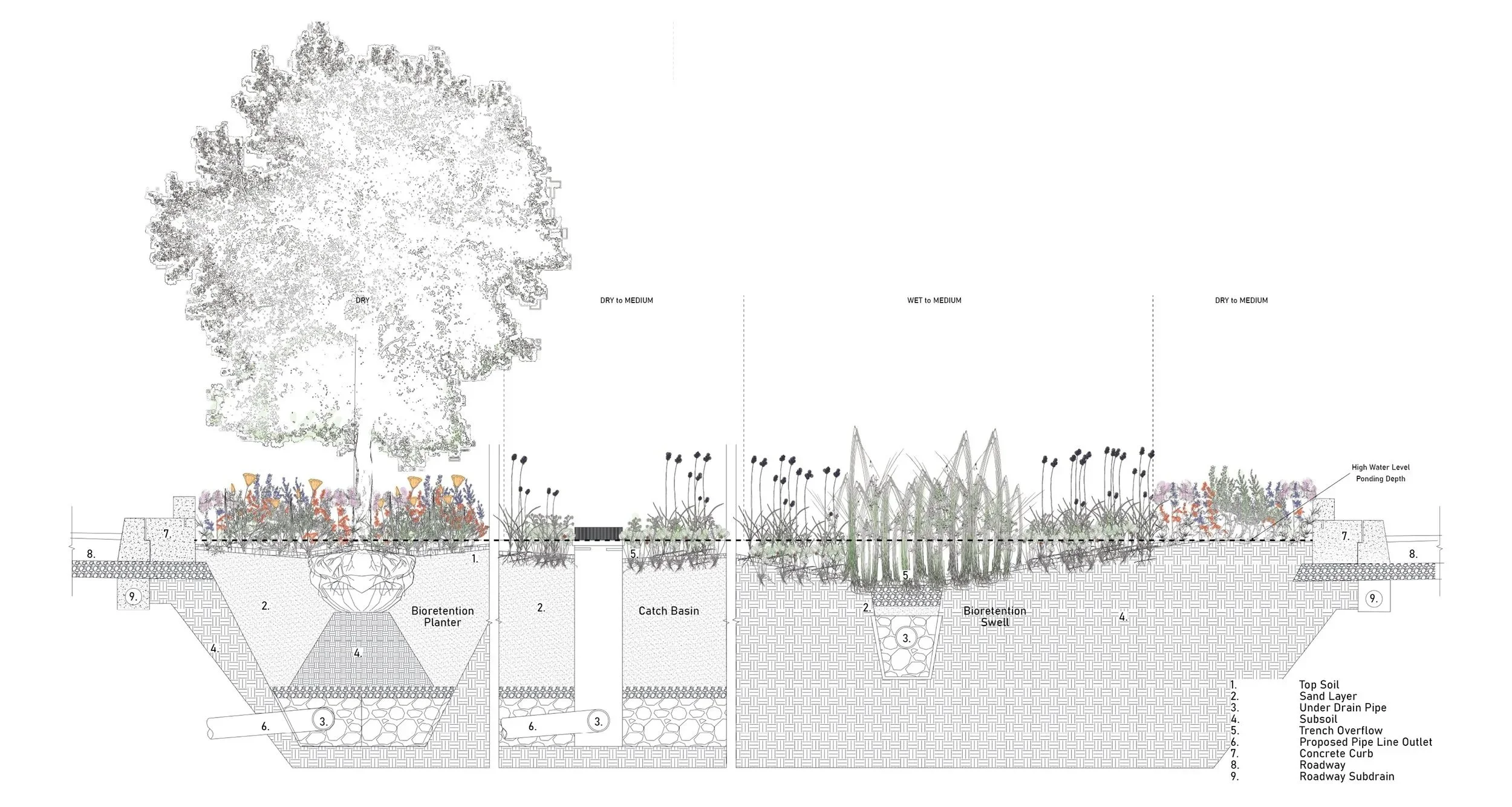 Reparative Ecologies: Return/Rewilding El Segundo Gateway    