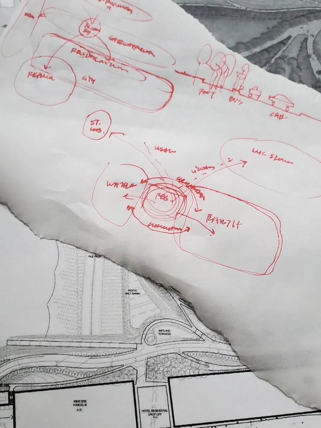 LANGUAGE. 
The whole projects summed up in a diagram.
