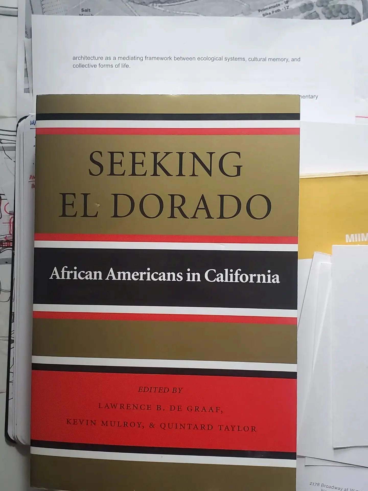 JUNETEENTH 

Today, on Juneteenth (June 19), we pause to reflect on freedom, resilience, and the ongoing pursuit of equity in America.

At MIIM Designs, we're spending part of the day reading Seeking El Dorado, a collection that explores the experien
