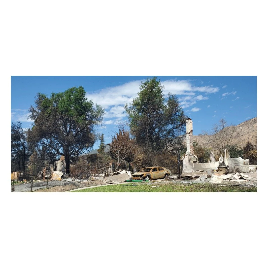 LA Fires Recovery: How to Save Your Trees

Did you know that you can preserve trees on your property after the LA fires? LA County and the Army Corps have issued tree waivers, allowing homeowners to protect their valuable trees.

Here's what you need