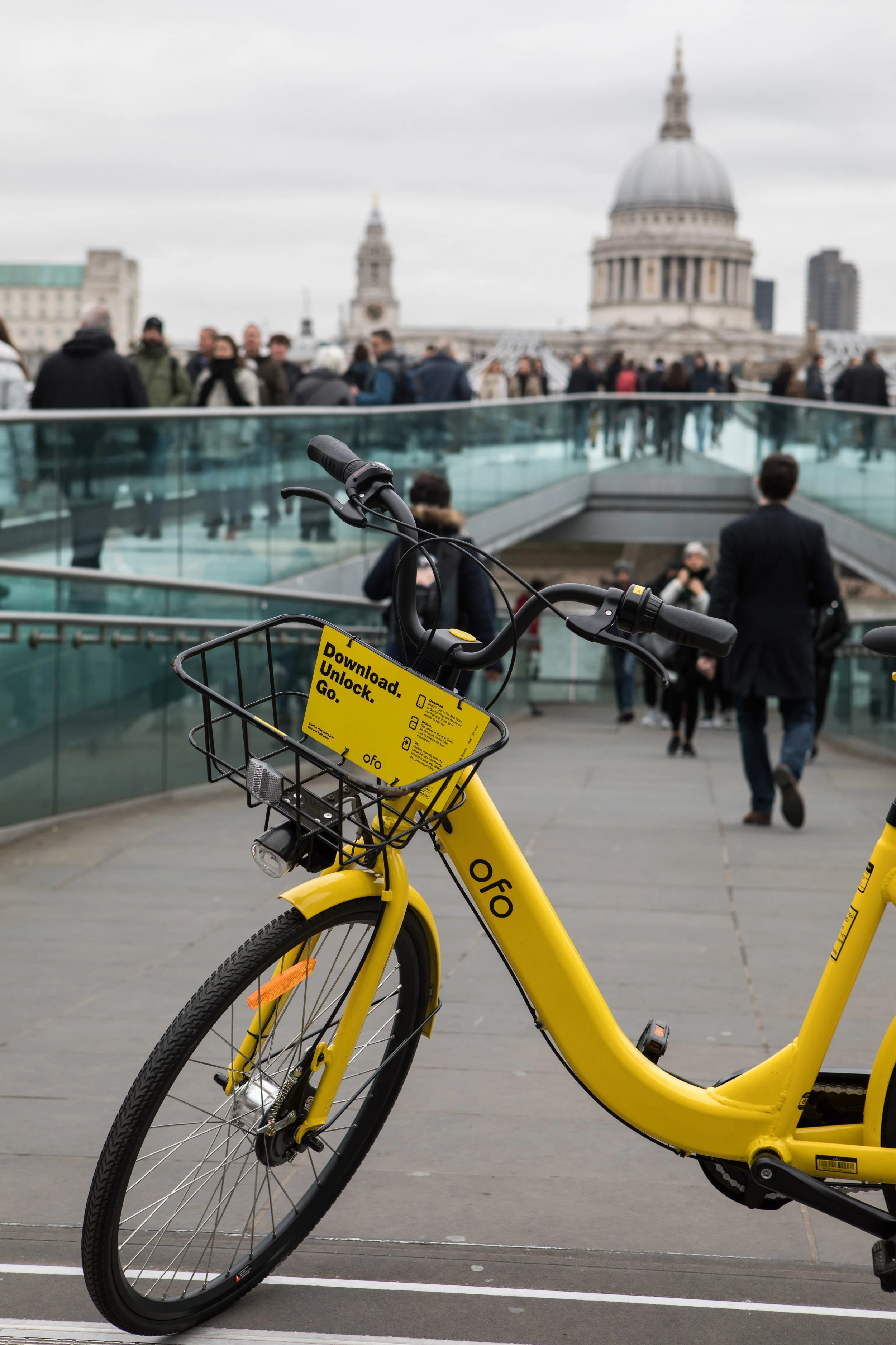 Ofo-4.jpg