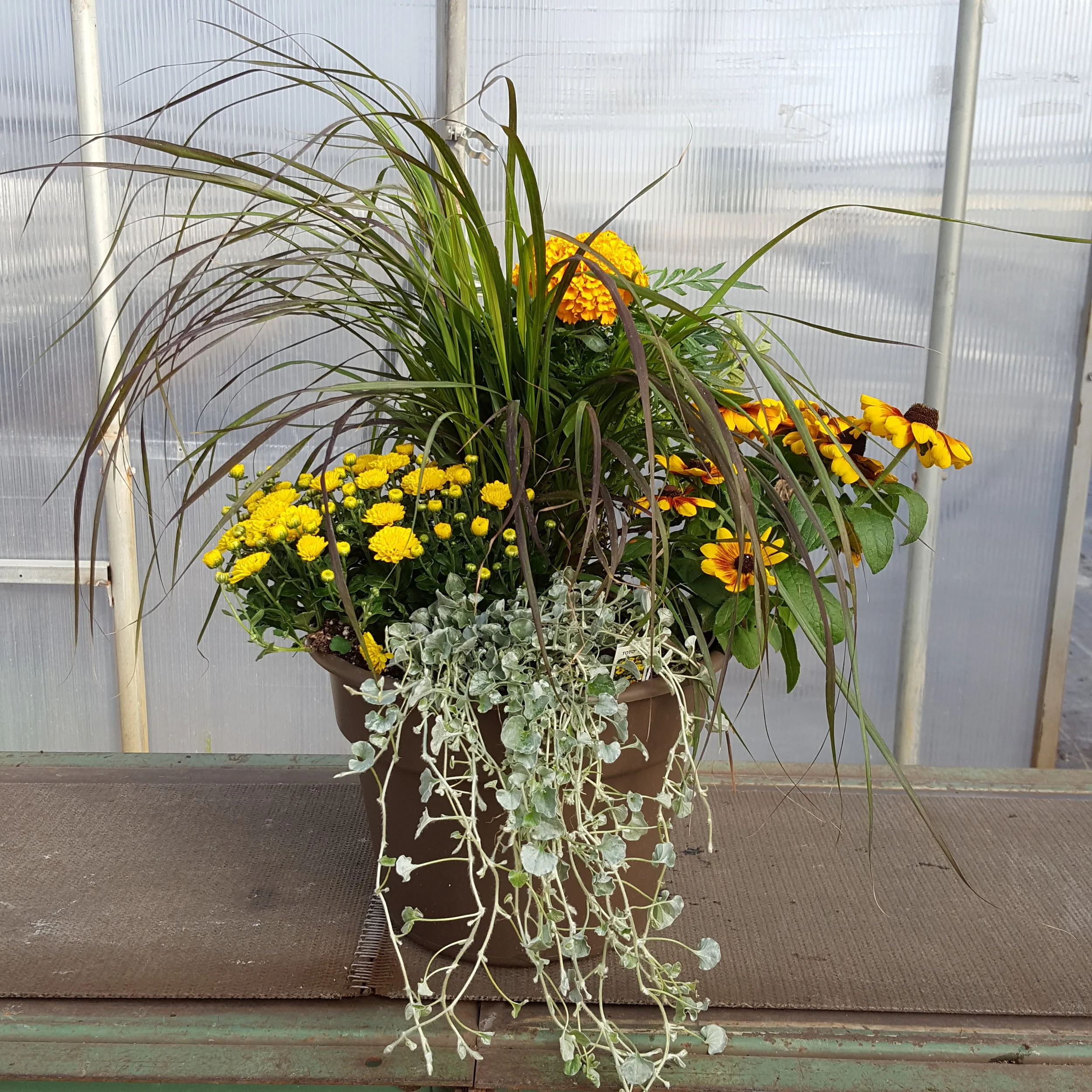 Here is just an example of what we can help you create!