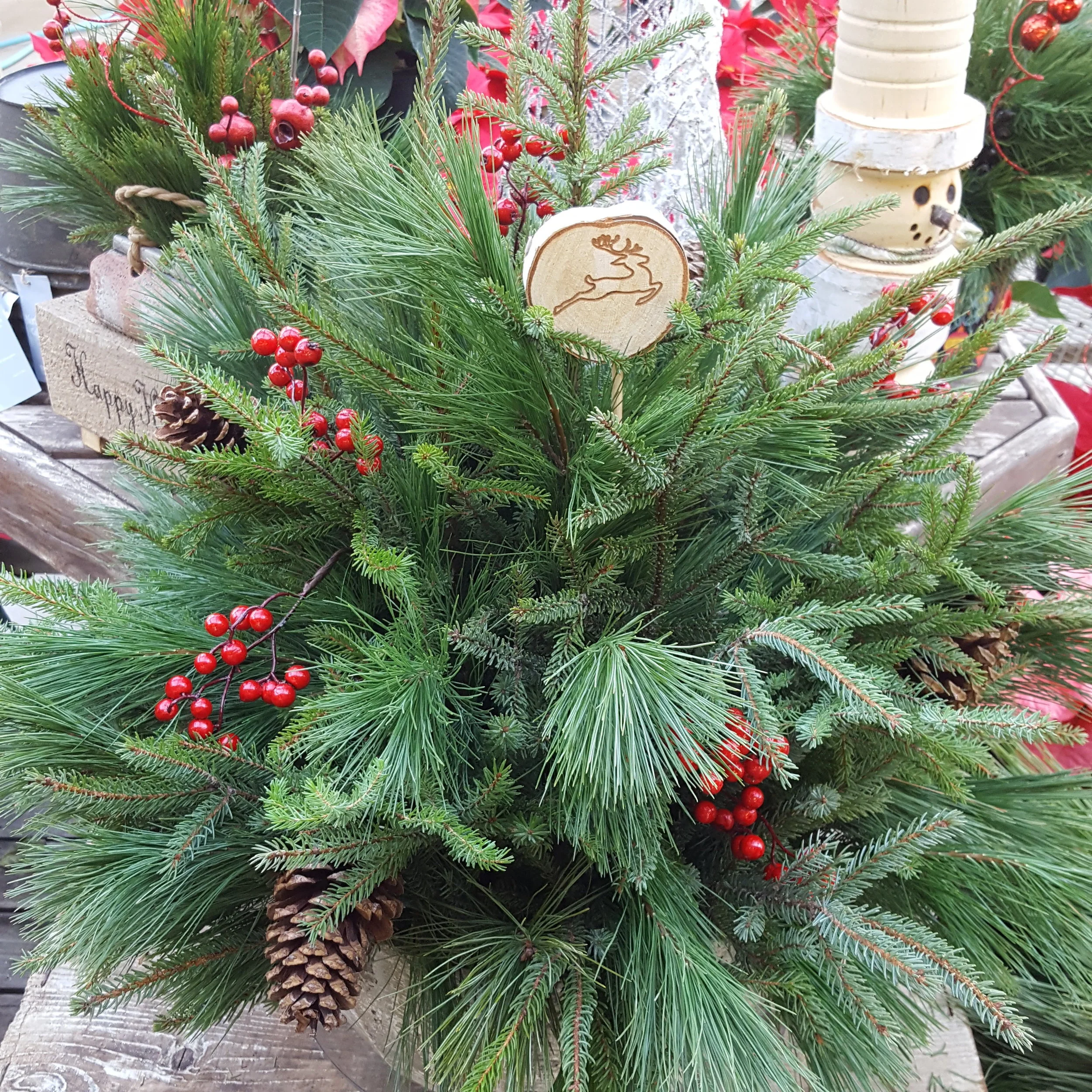 Spruce and White Pine tips with red berries and pinecones.