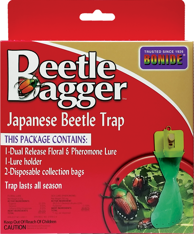 197.png