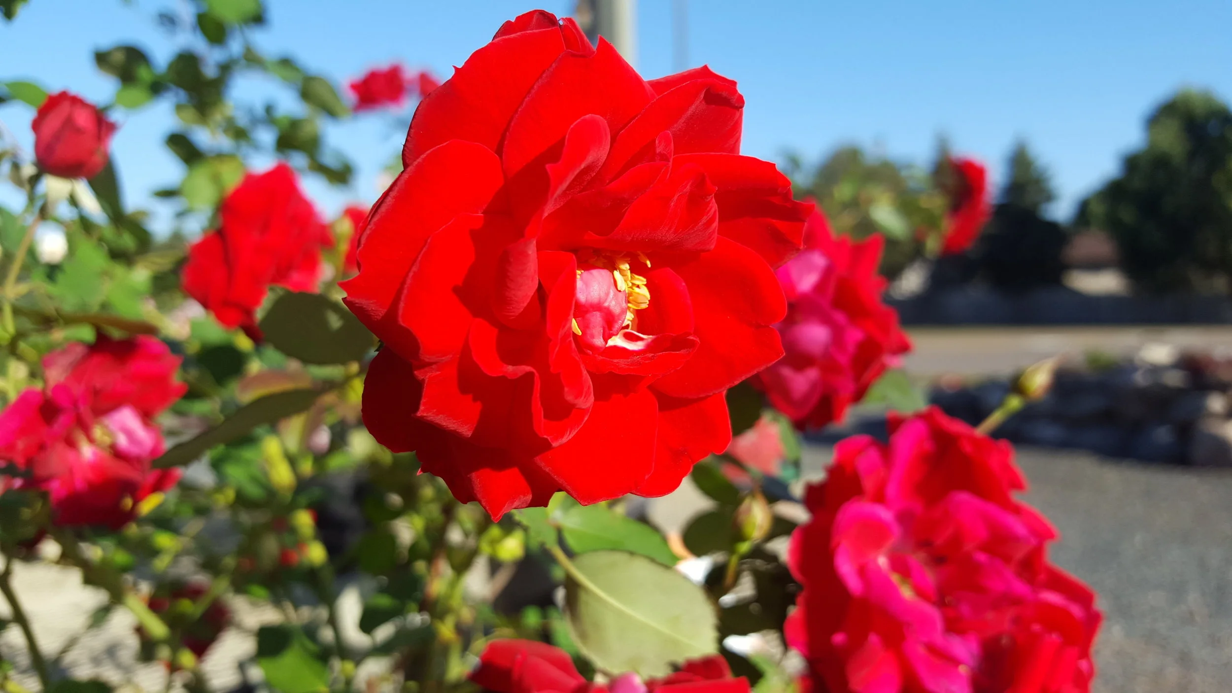 20180913_085952.jpg