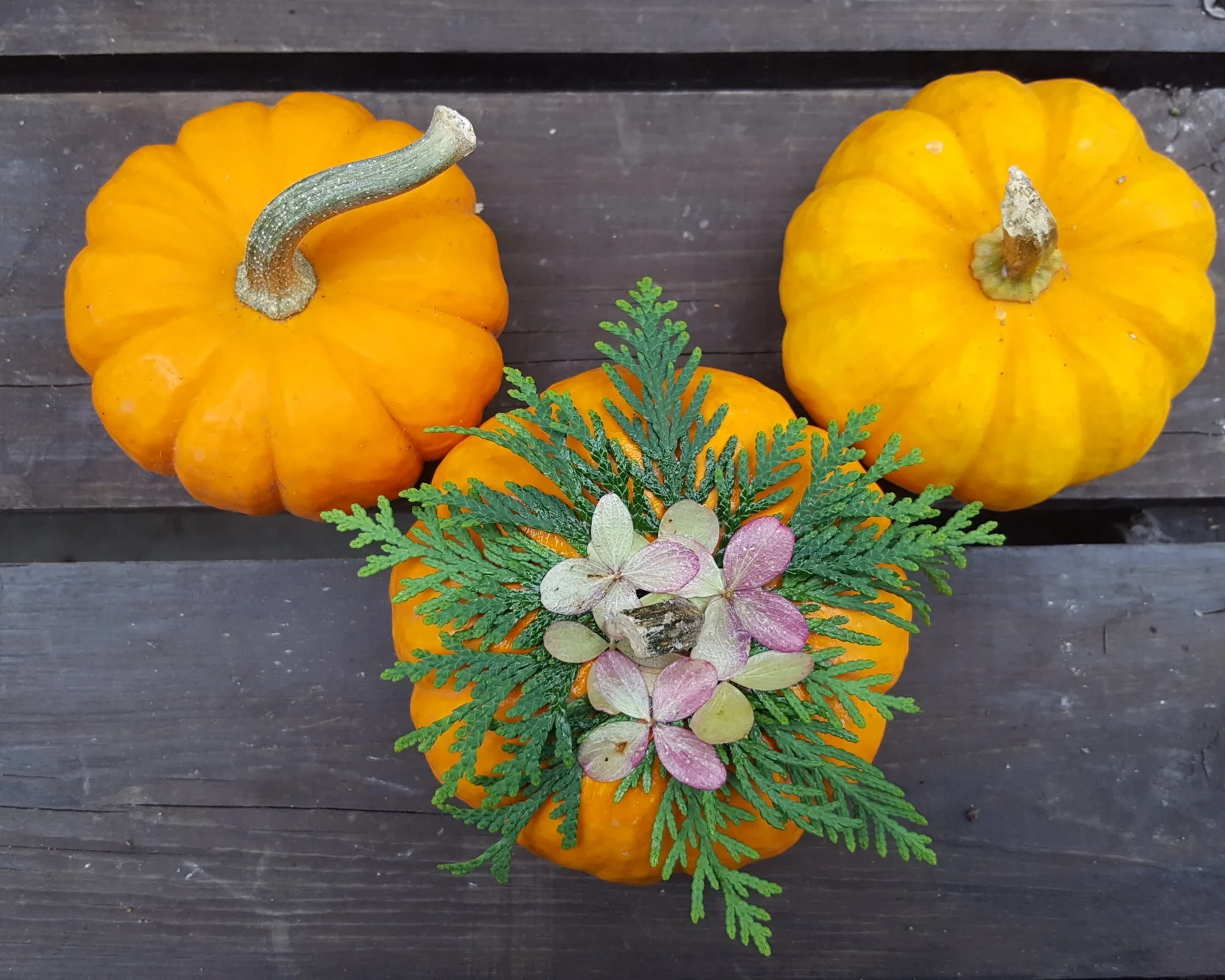 Mini Pumpkin - $12