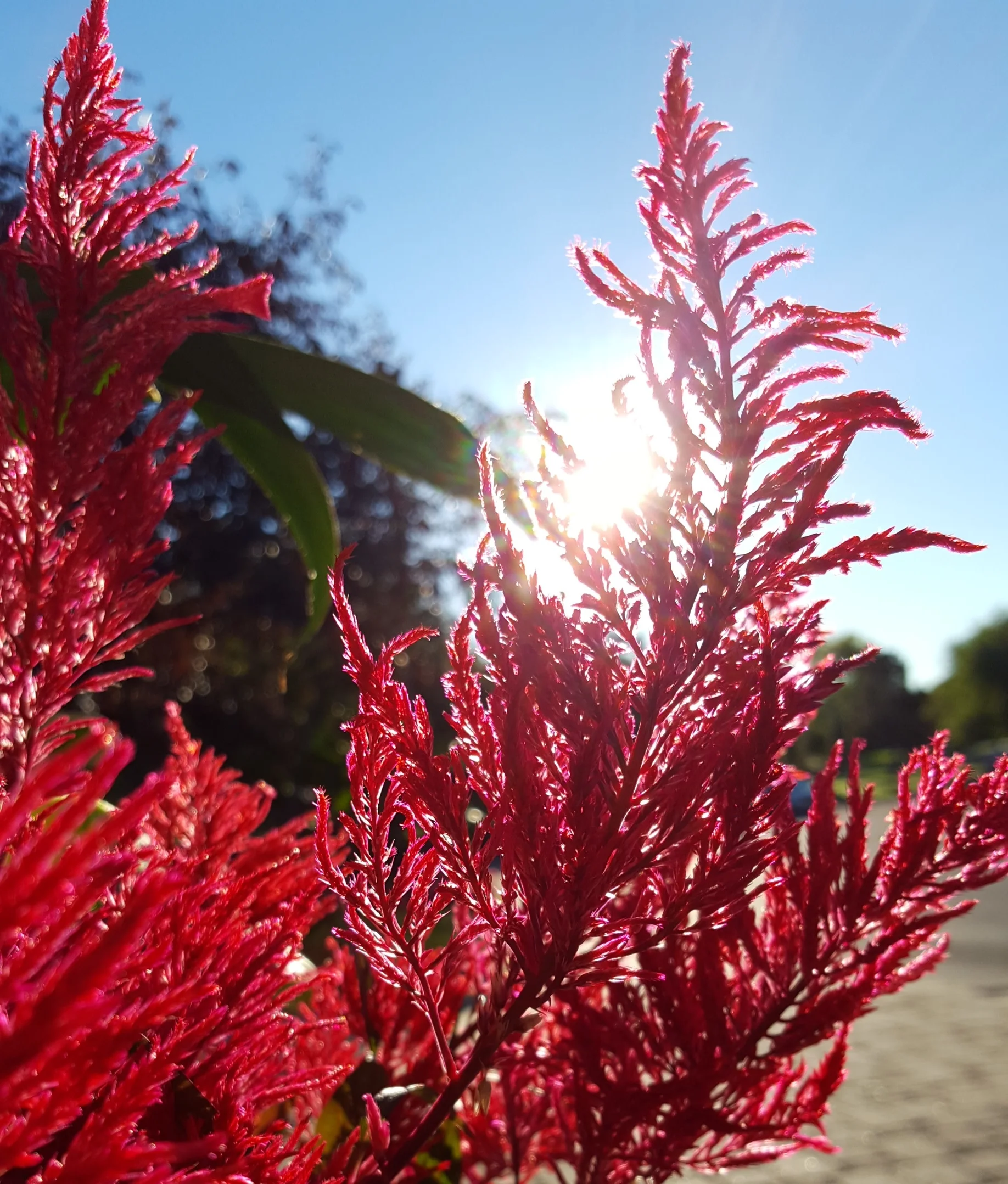 20181004_082951.jpg