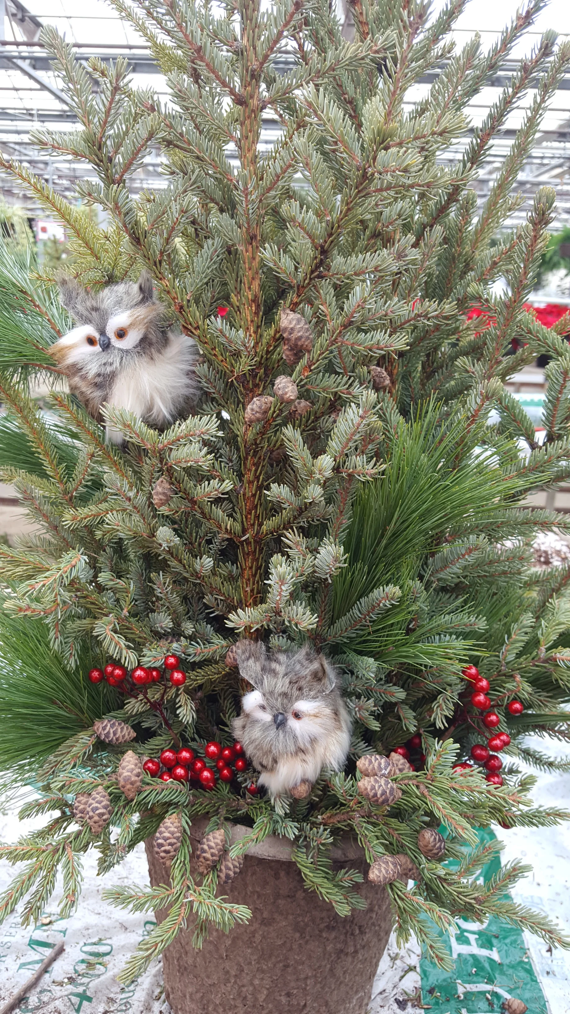 Custom - fuzzy owls