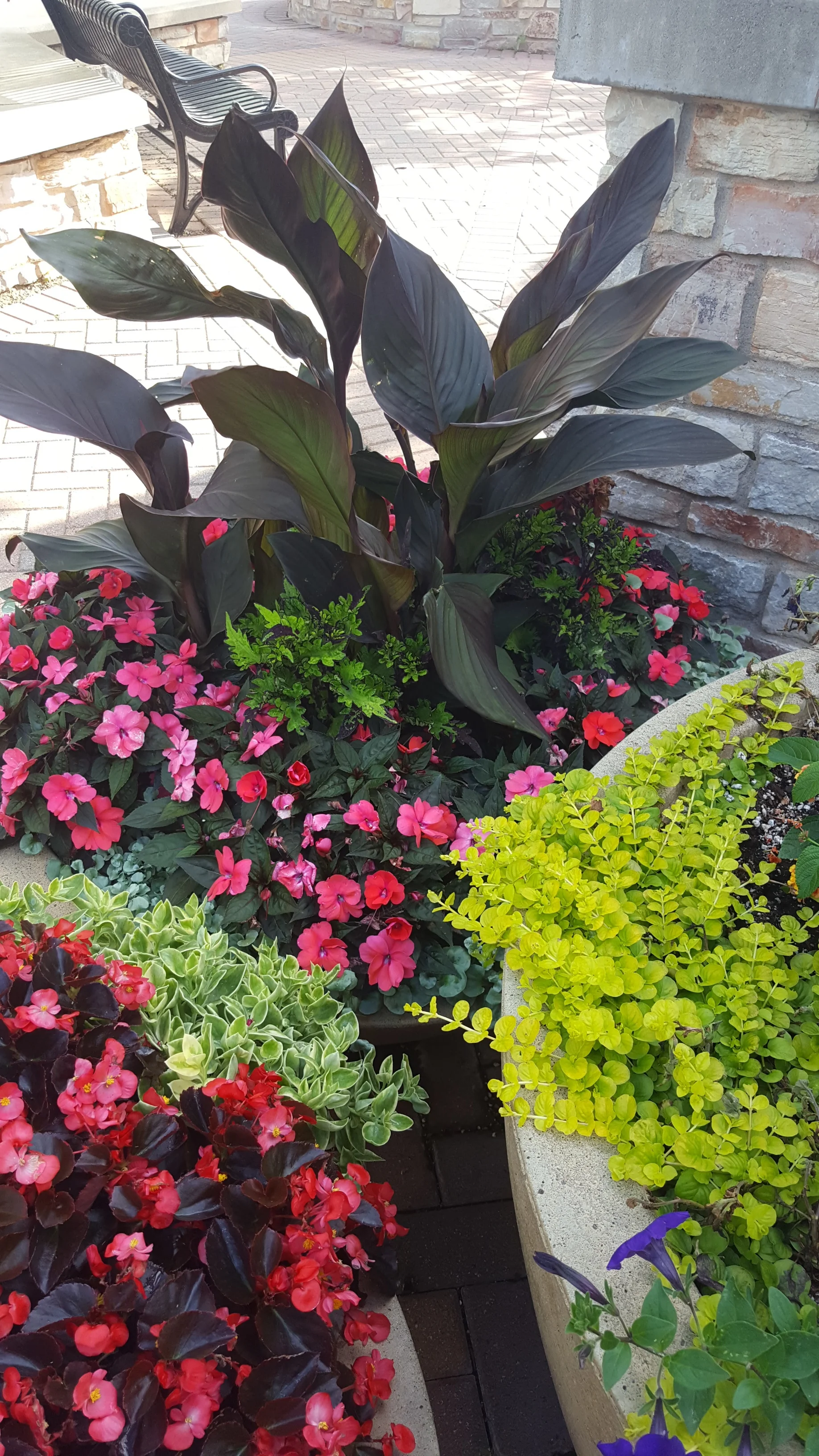 20190710_184919.jpg