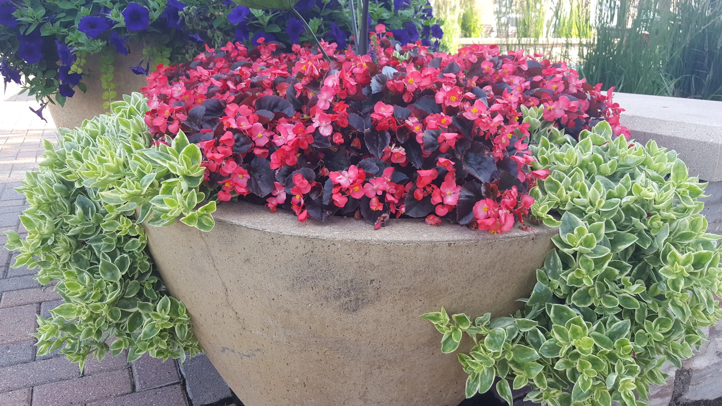20190710_185005.jpg