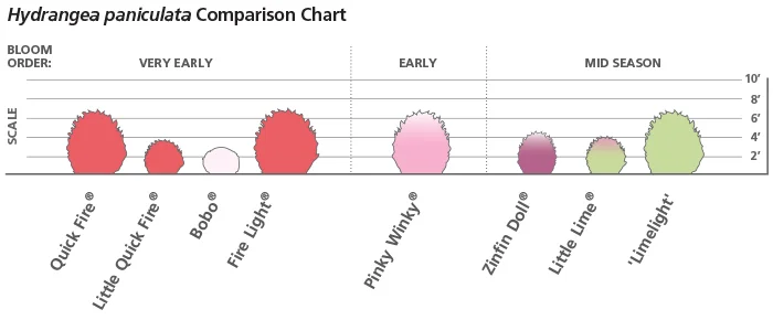 modified_hydrangea_chart72.jpg