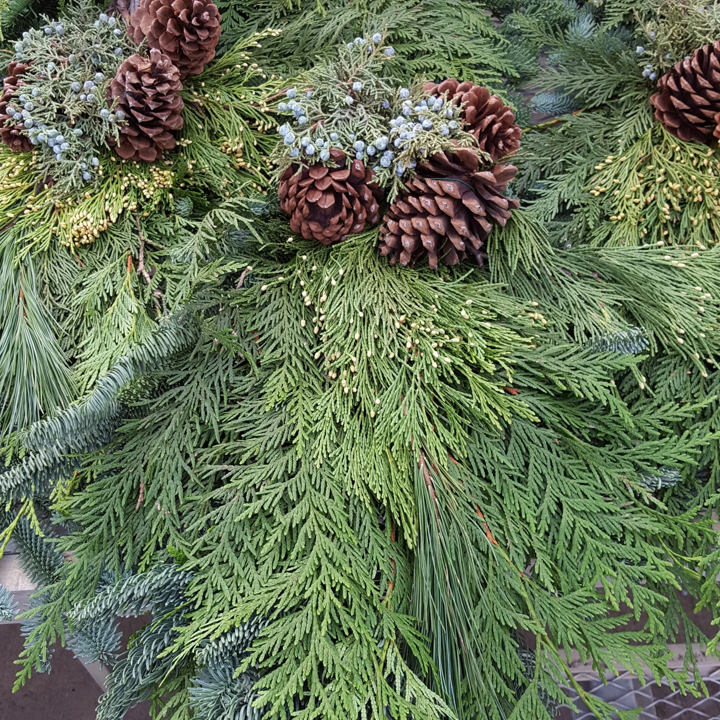 20171031_172514.jpg