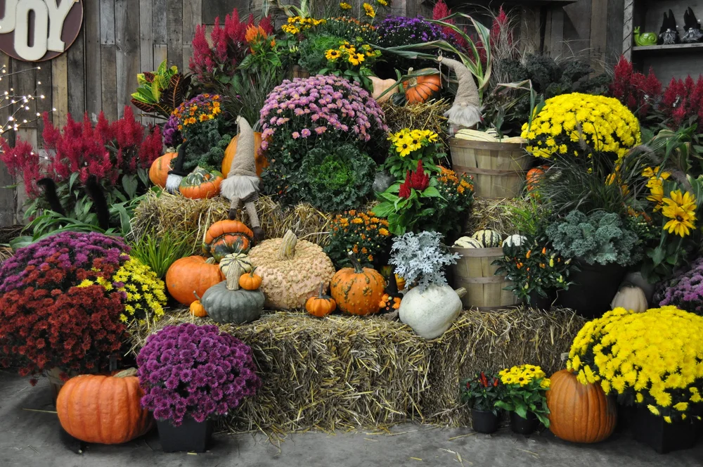 Fall Decorating Made Easy Lynde Greenhouse Nursery
