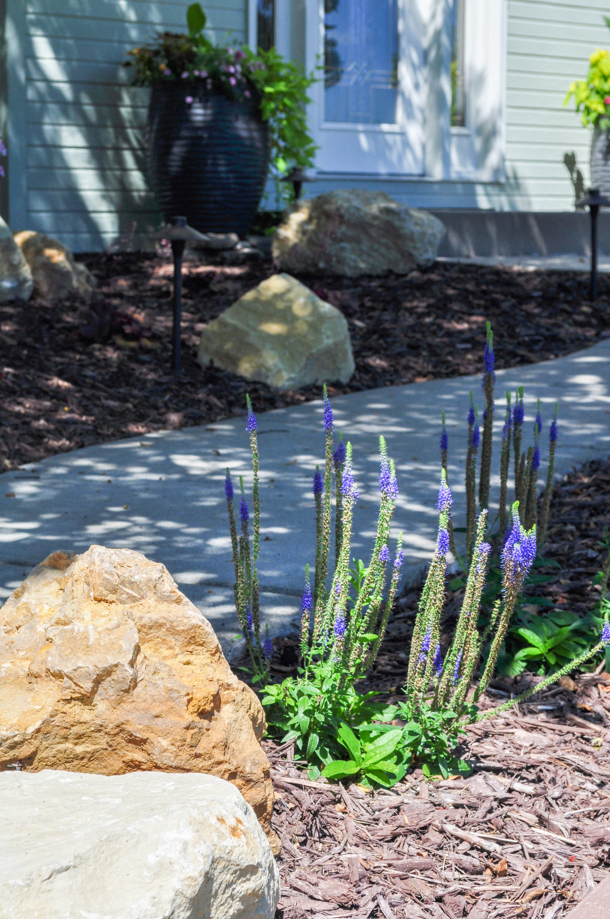 Perennial Beds