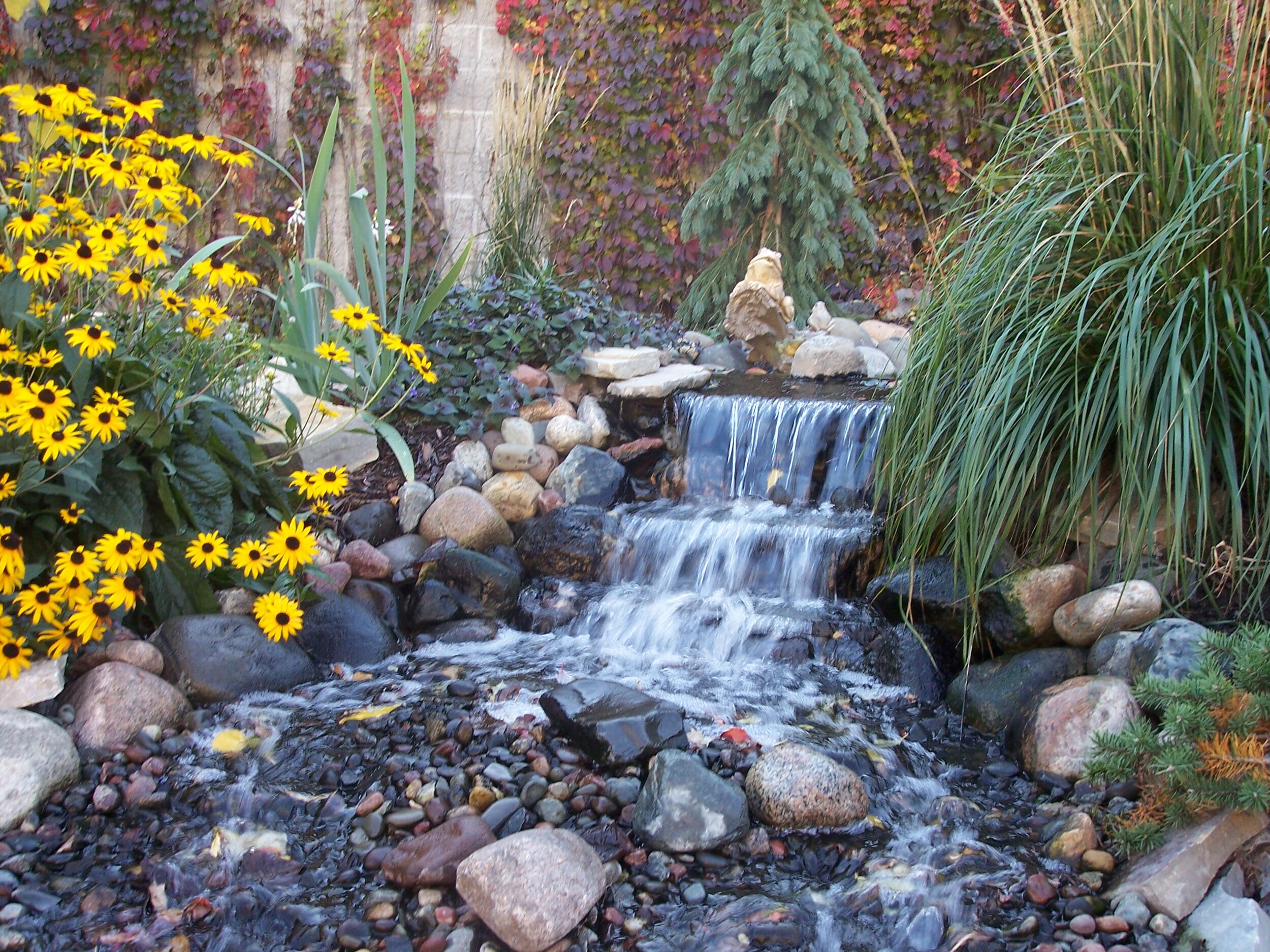 Water Feature