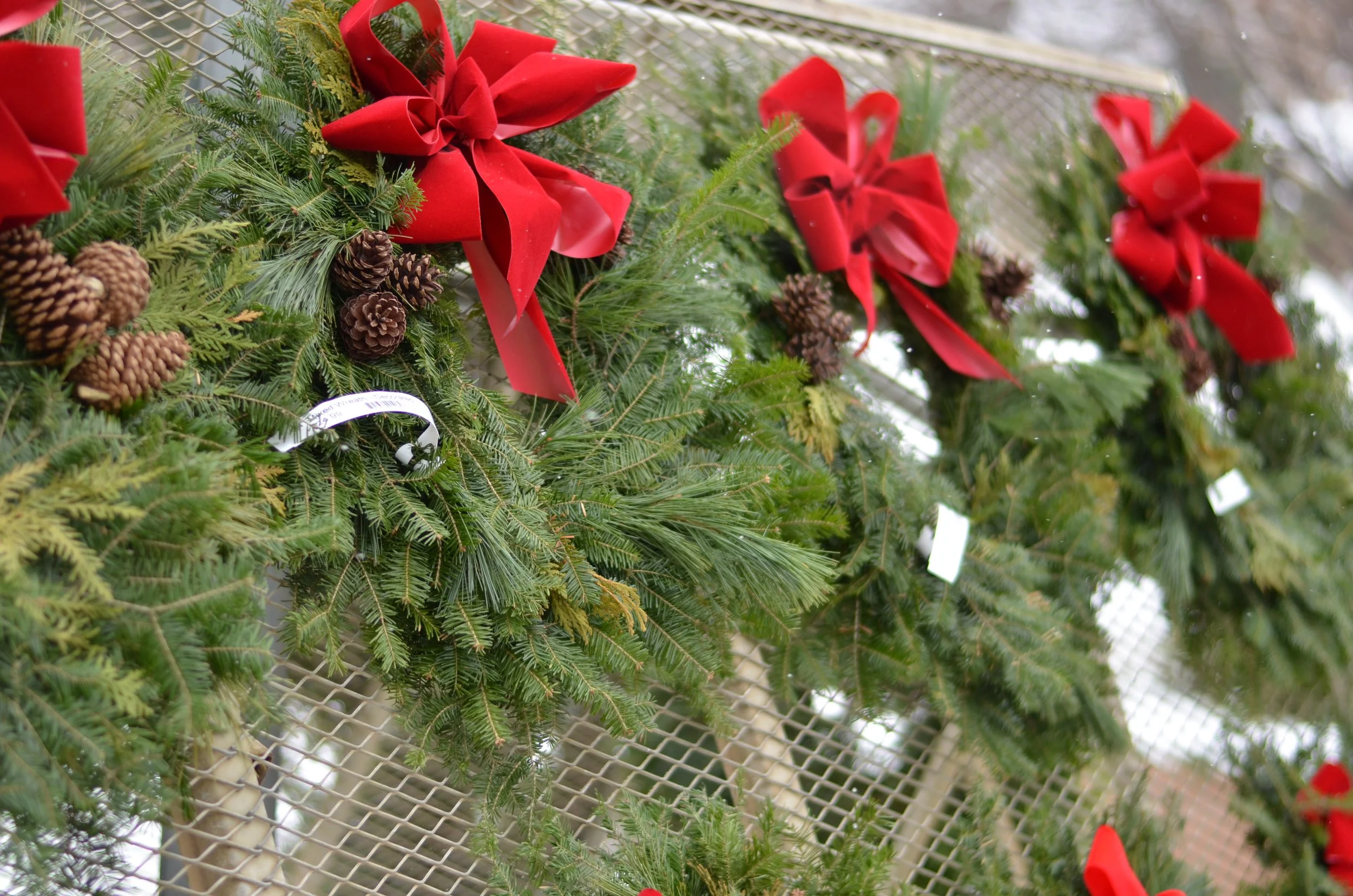 2025 Wreath Workshop