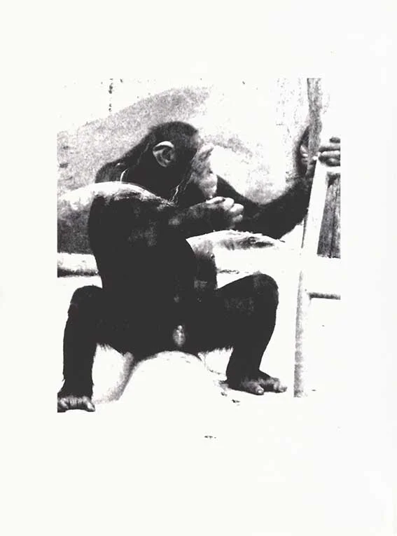 Fabricante de Herramientas I (Toolmaker I)