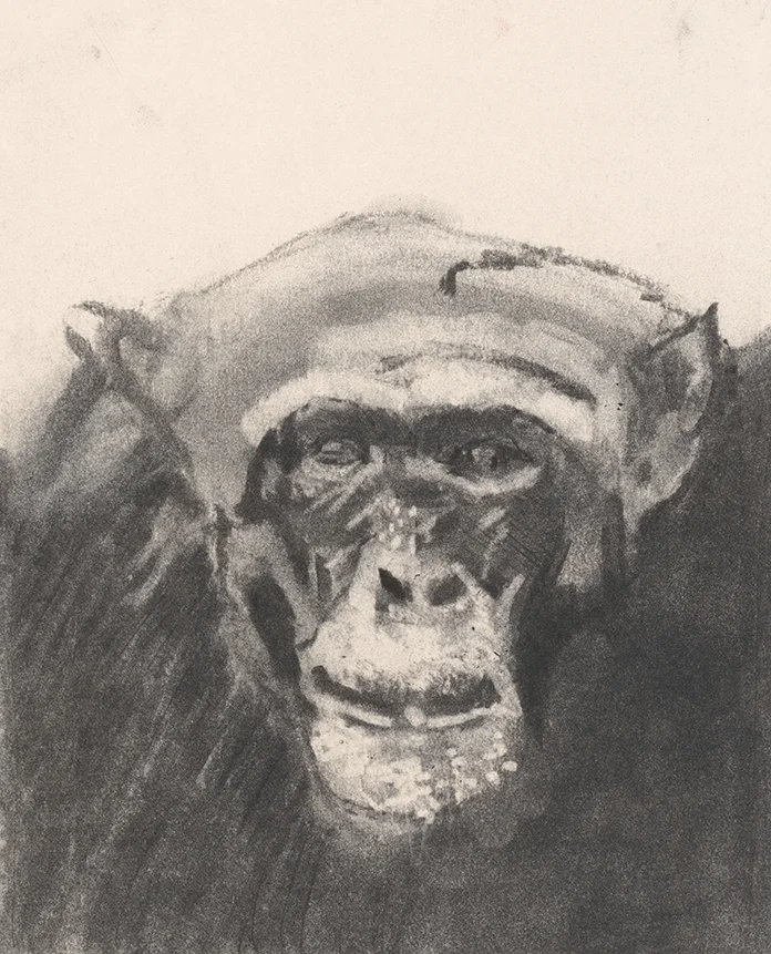 Experiencia (Experience)