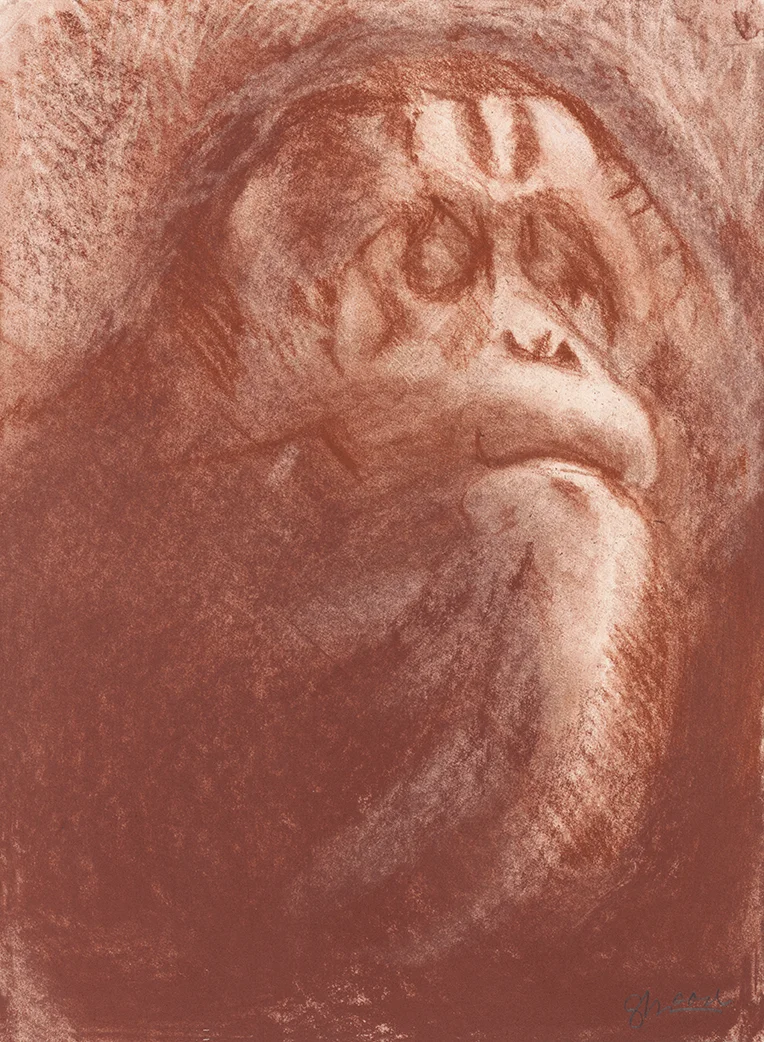 La Vieja Persona de la Selva (The Old Person of the Forest)