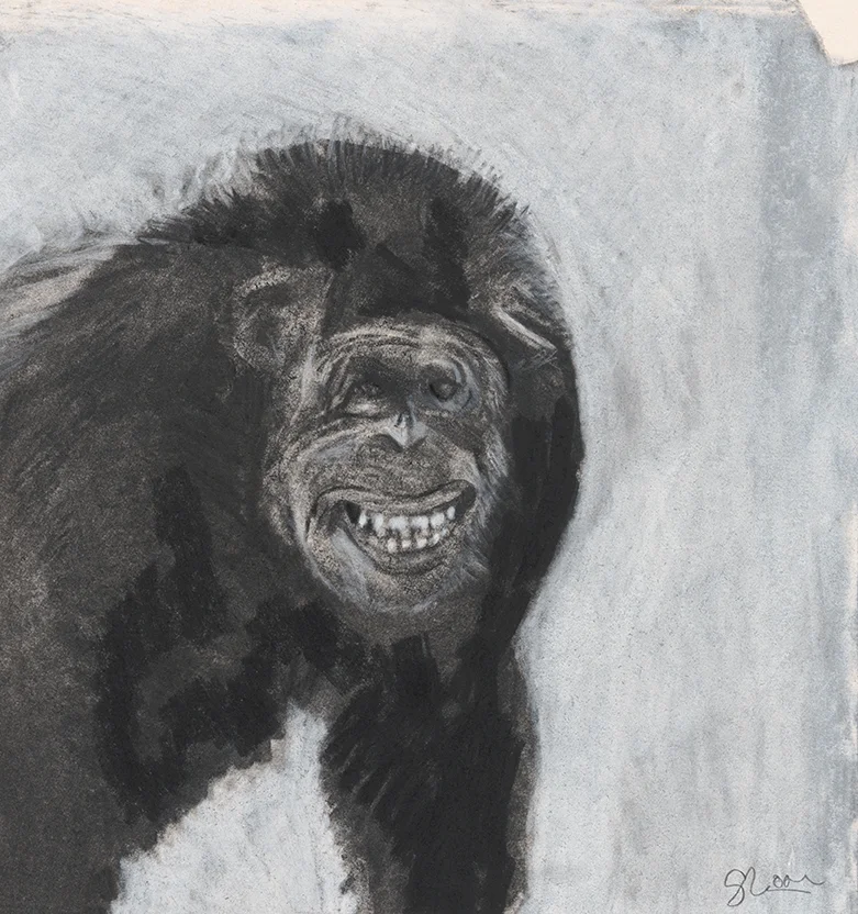 SIMIOS GMM_60_eq.jpg