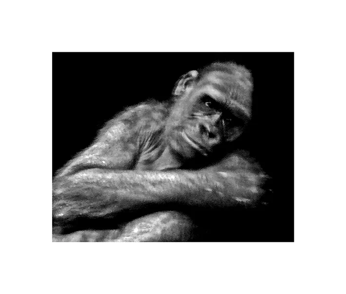 Desesperanza (Despair)