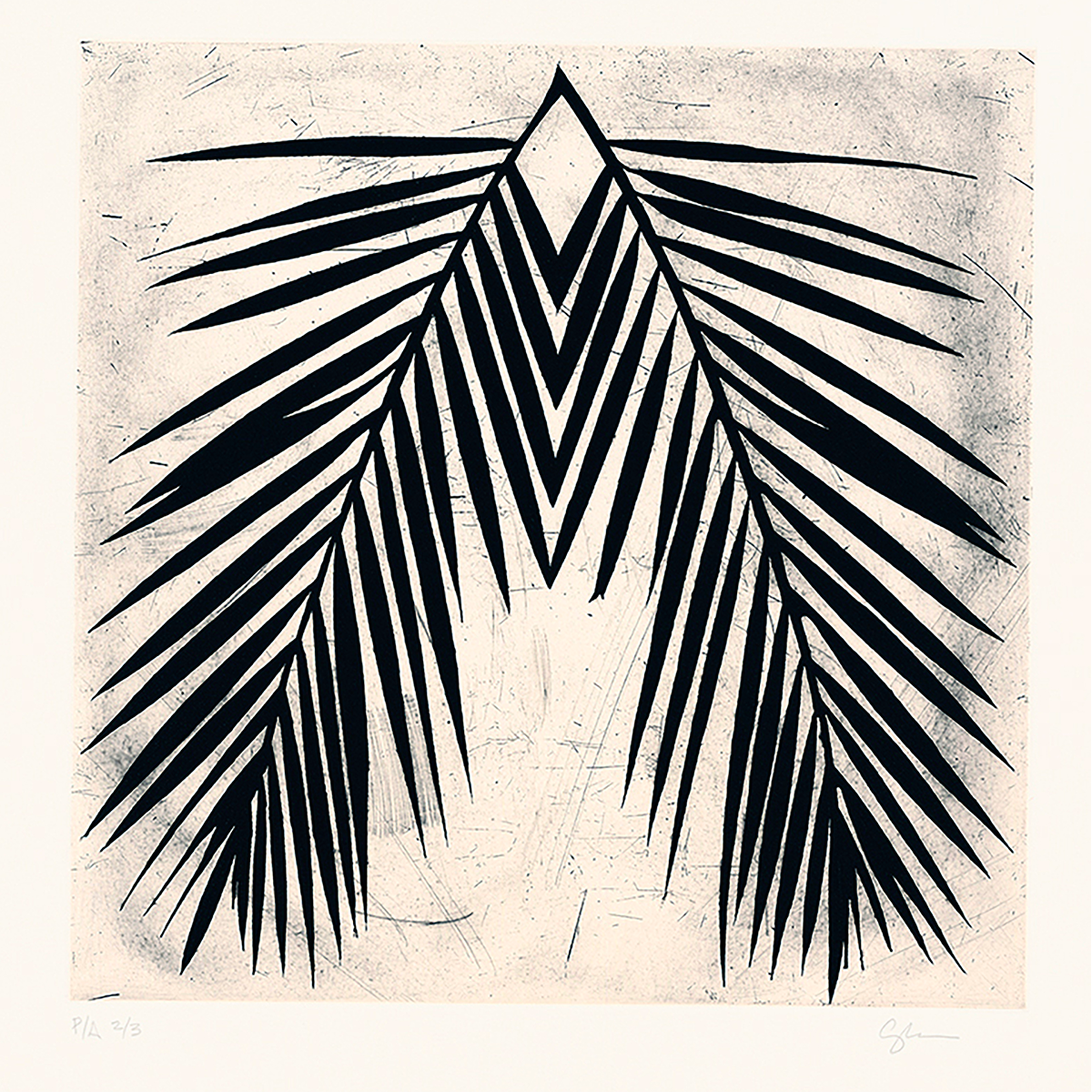 PALMERAS-W12.png