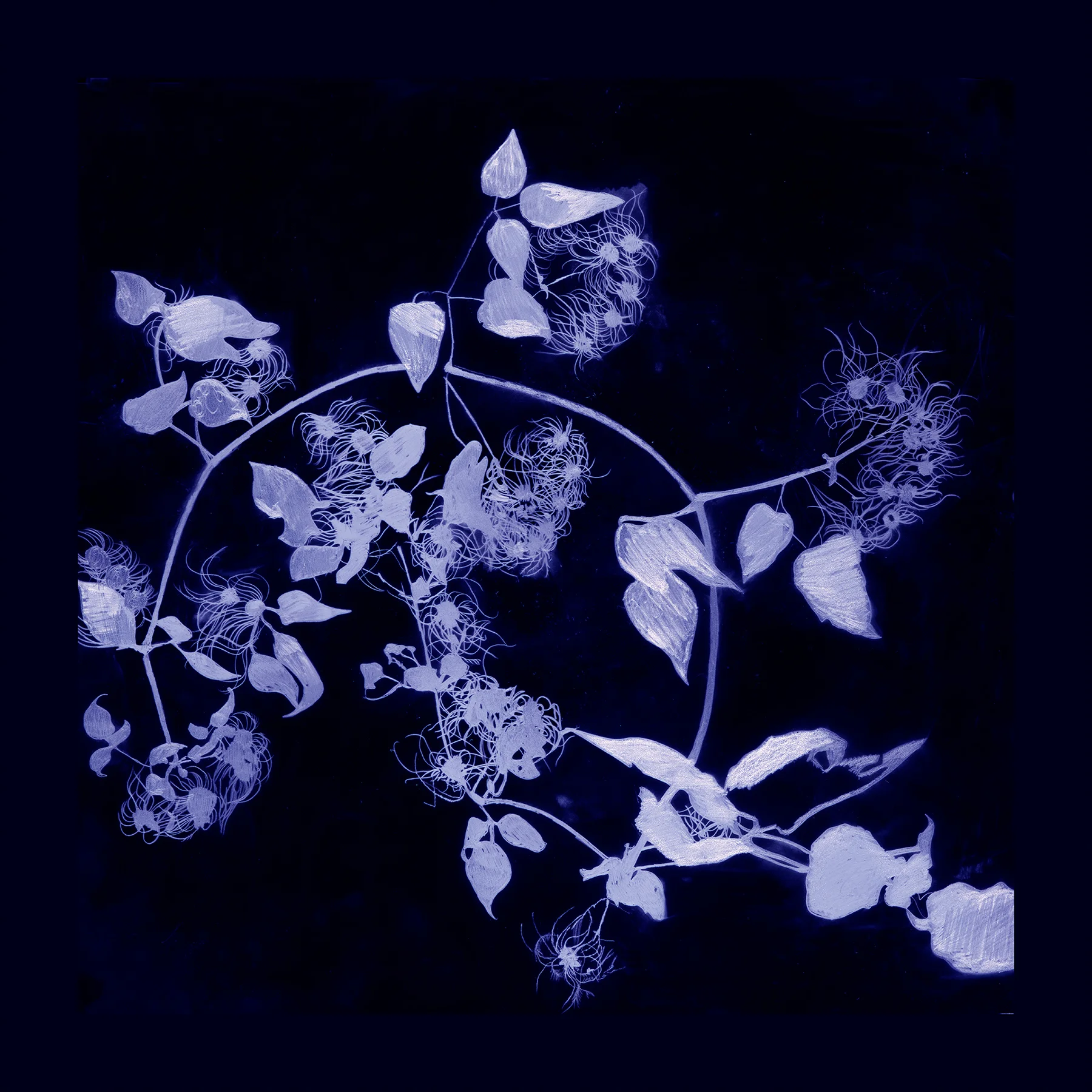 RING-AROUNDTHEROSIE-BLUE-W18.jpg