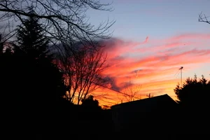 IMG_0654.jpg