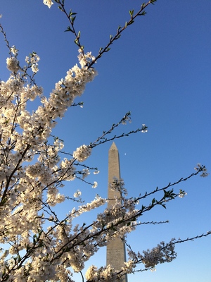 IMG_1605.jpg
