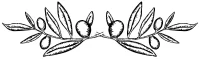 olivebranch.jpg