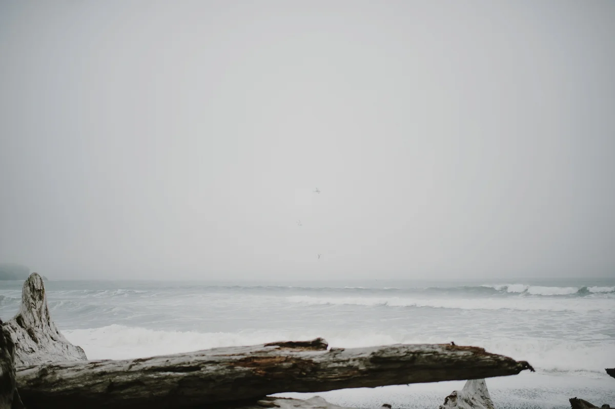 OlympicPeninsulaElopement_KristenMarieParker-86.jpg