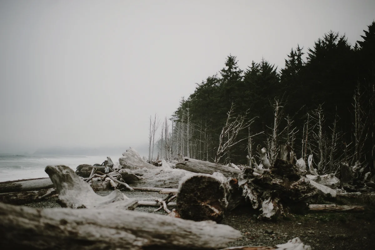 OlympicPeninsulaElopement_KristenMarieParker-102.jpg