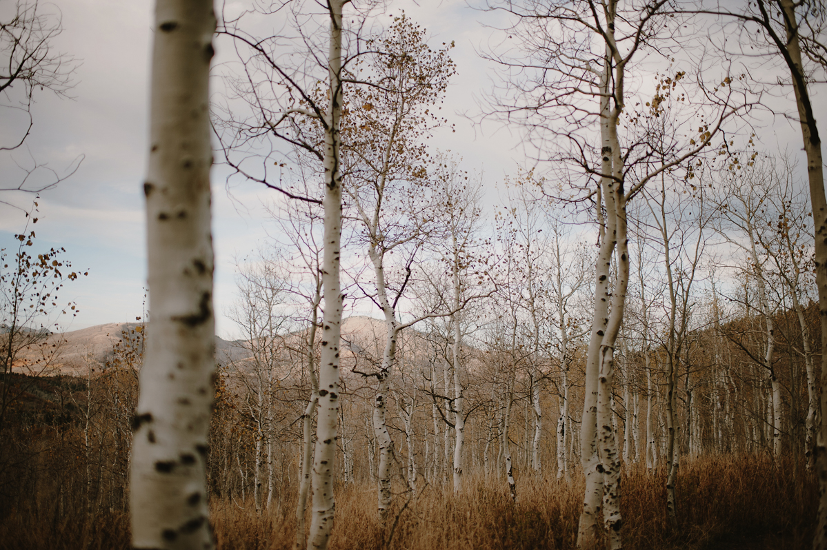 UtahWeddingElopementPhotographer_KristenMarieParker-181.jpg