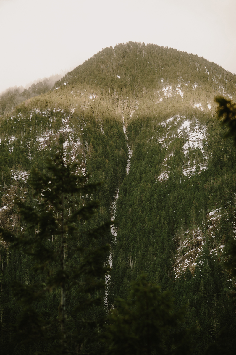 kristenmarieparker_ferryanniversarysessionolympicpeninsula-62.jpg