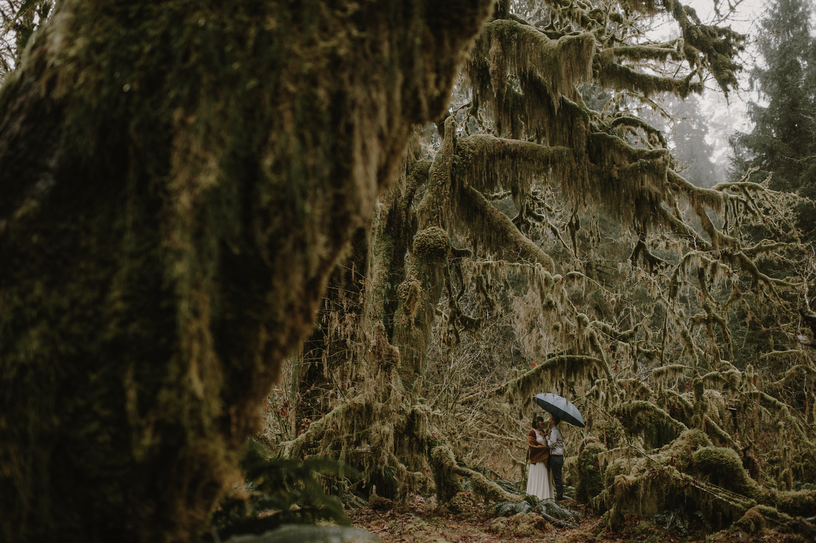 kristenmarieparker_olympicnationalpark_samesex_elopement_rainy-59.jpg
