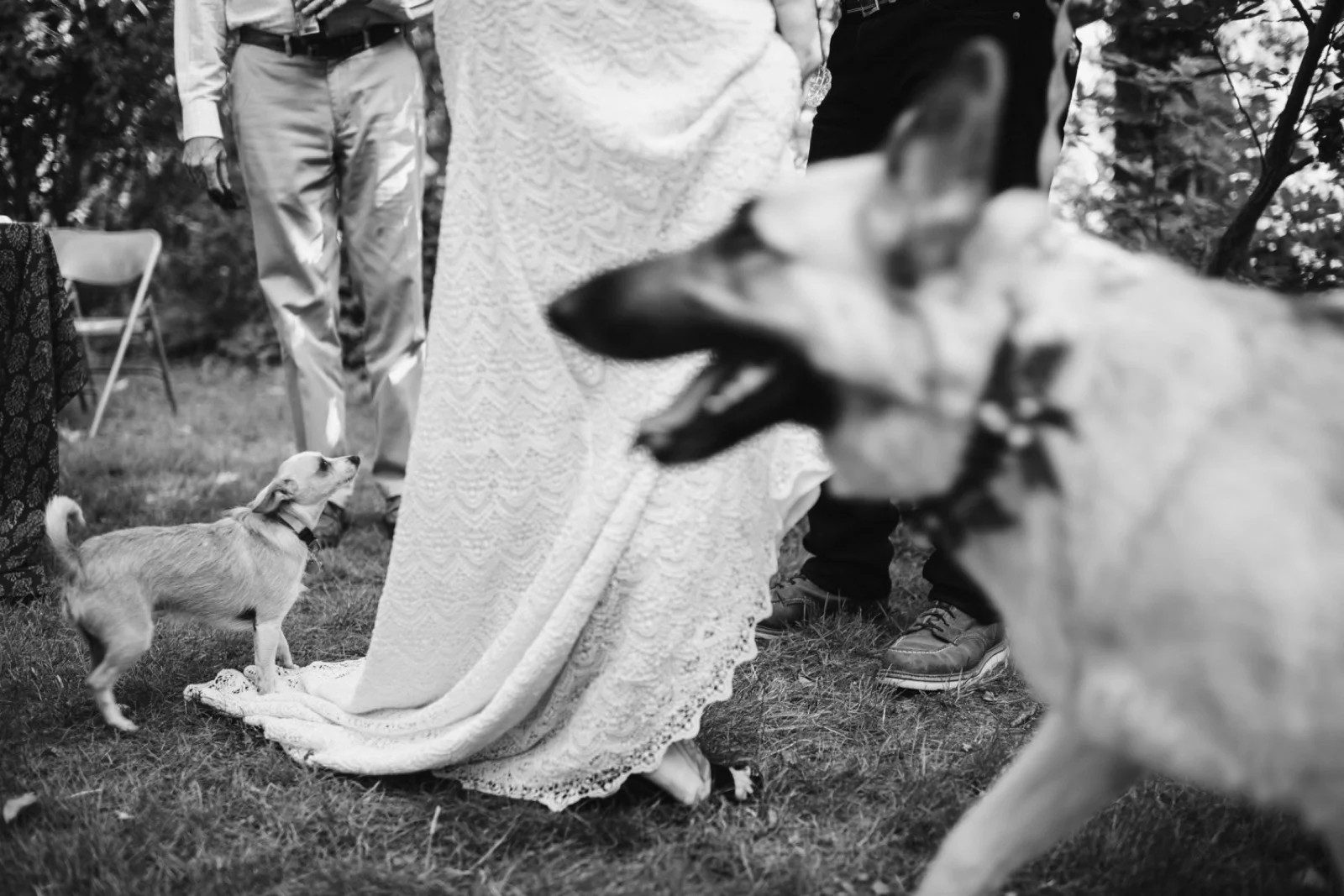 061_California_Ranch_Wedding164.jpg