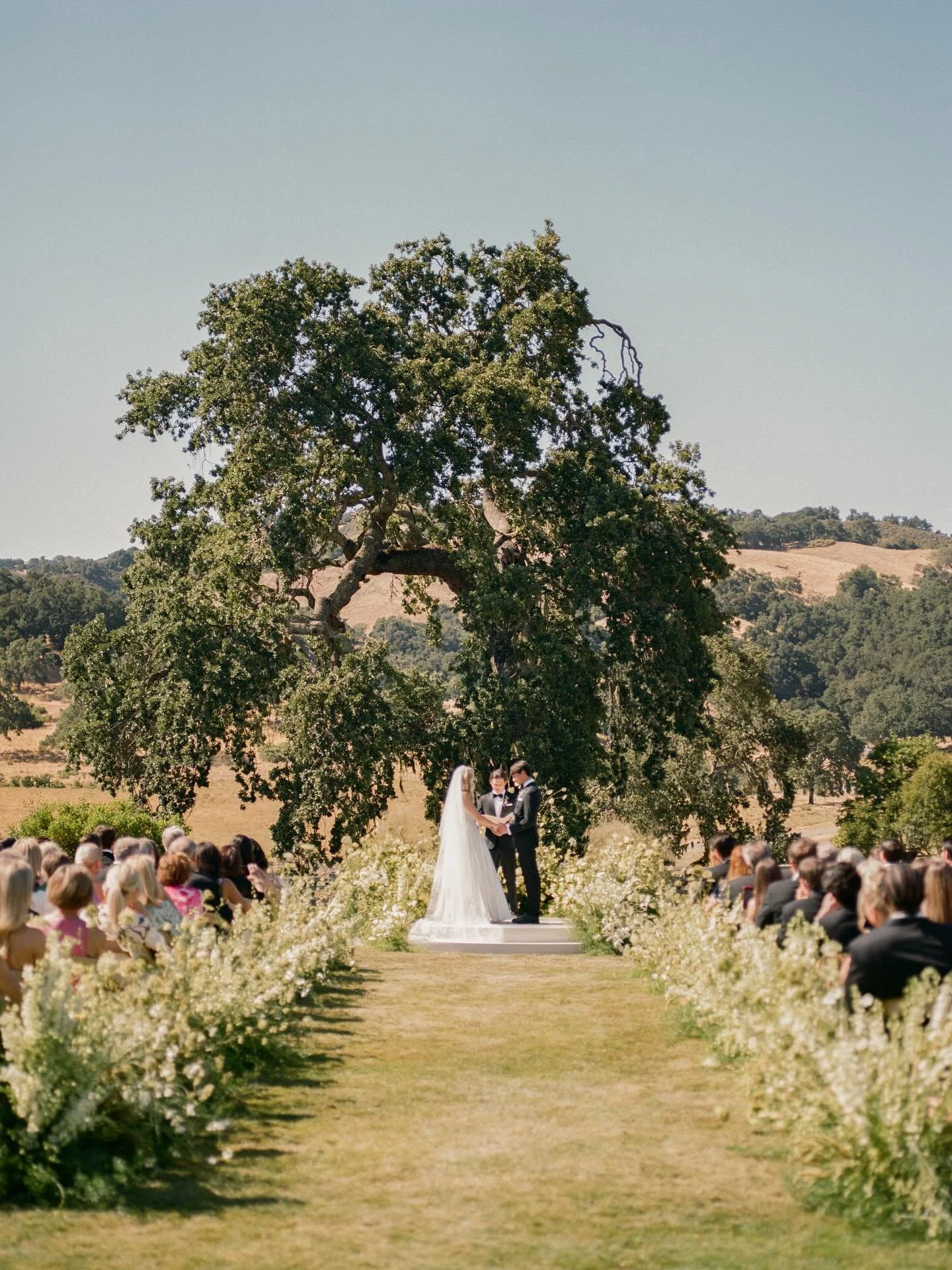 Ally and Sam tied the knot in sun-kissed Carmel Valley, surrounded by garden blooms, fresh love, and the kind of joy only high school sweethearts can know. Every detail was magic&mdash;from the radiant design to the dance floor that never stopped mov