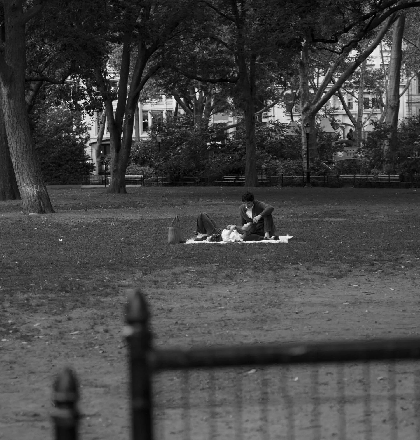 The sweetest NYC afternoon.