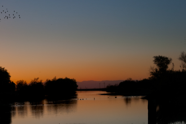 Mumuration Orange sky_mumuration-268-Edit-Edit-Edit.jpg