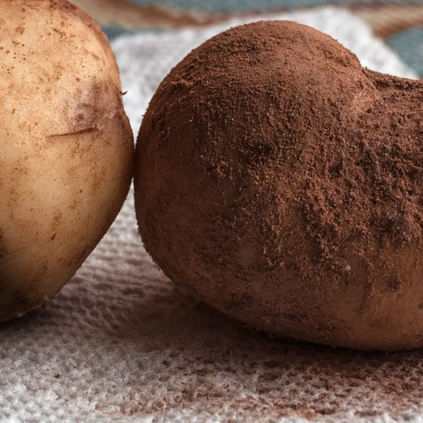 Spuds-square.jpg