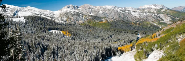 mountainview-wide.jpg