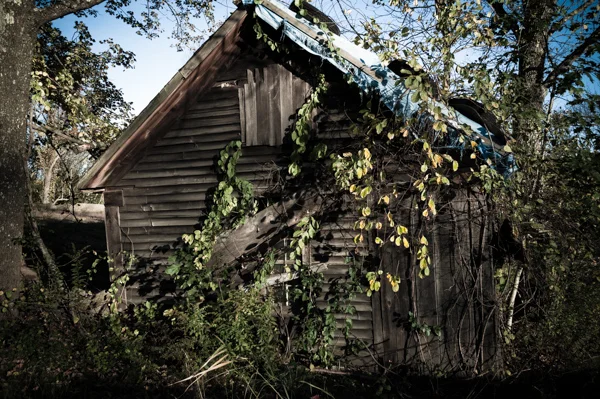 Sad Shed_4097.jpg
