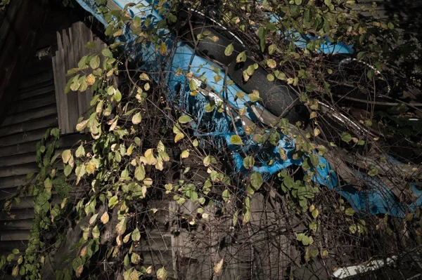 Sad Shed Roof2_4103.jpg