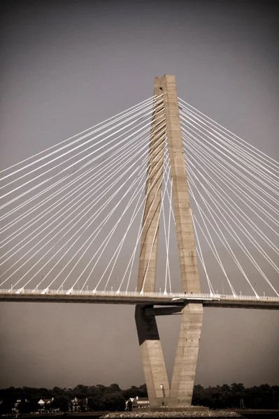 ravenal bridge sepia_.jpg