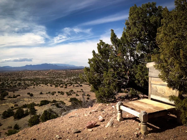 Best seat in the house, found somewhere along Cook's Loop.