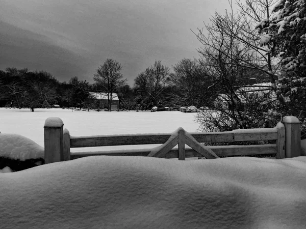 Snow Fence