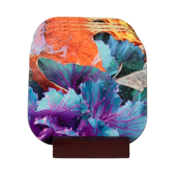 Cabbage and Snow Coaster Set